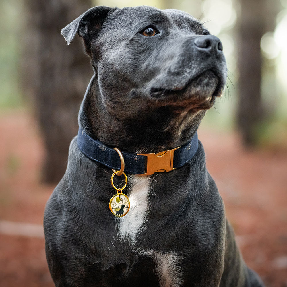 Médaille personnalisée Lune du Parc