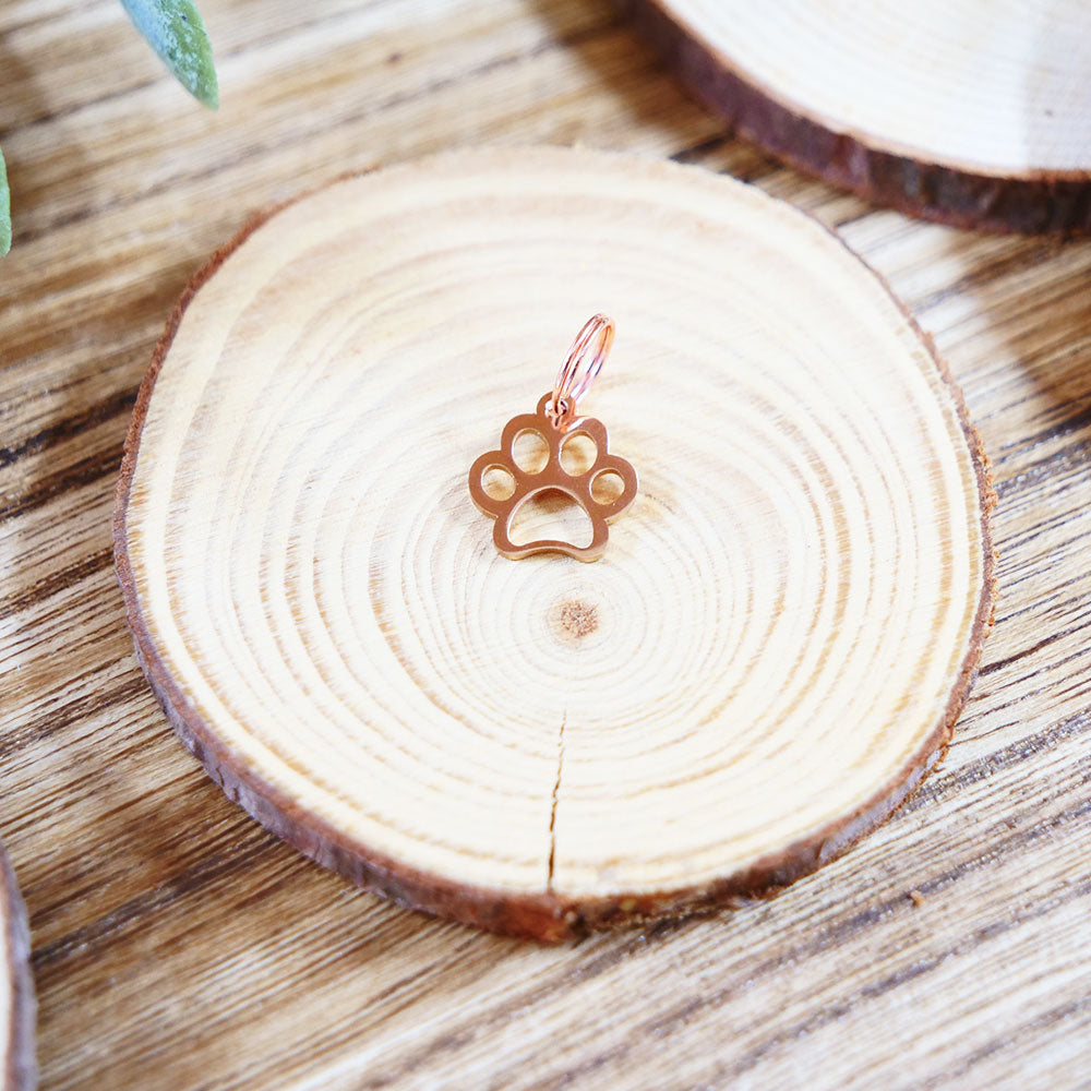 Charm La Patte de Sky (3 couleurs)