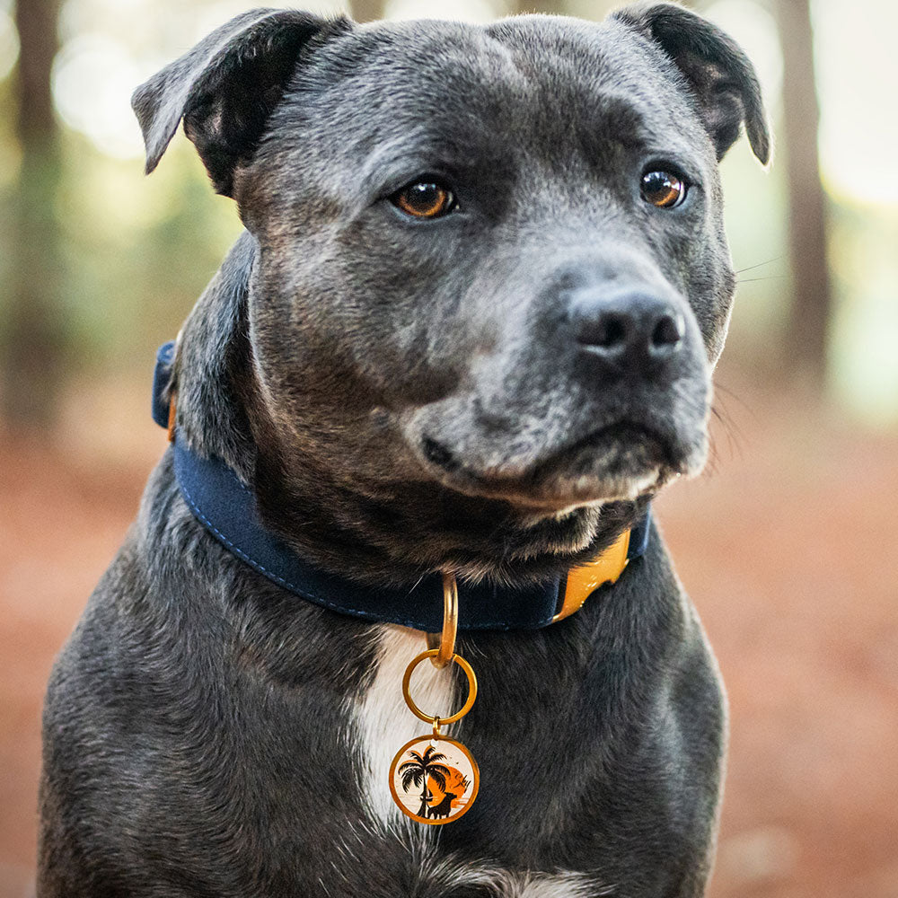 Médaille personnalisée Soleil de Sable