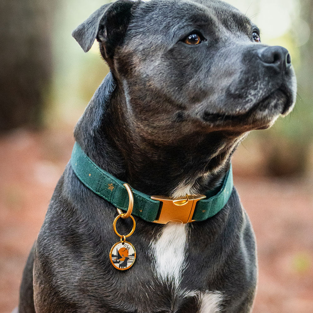 Médaille personnalisée Soleil du Large