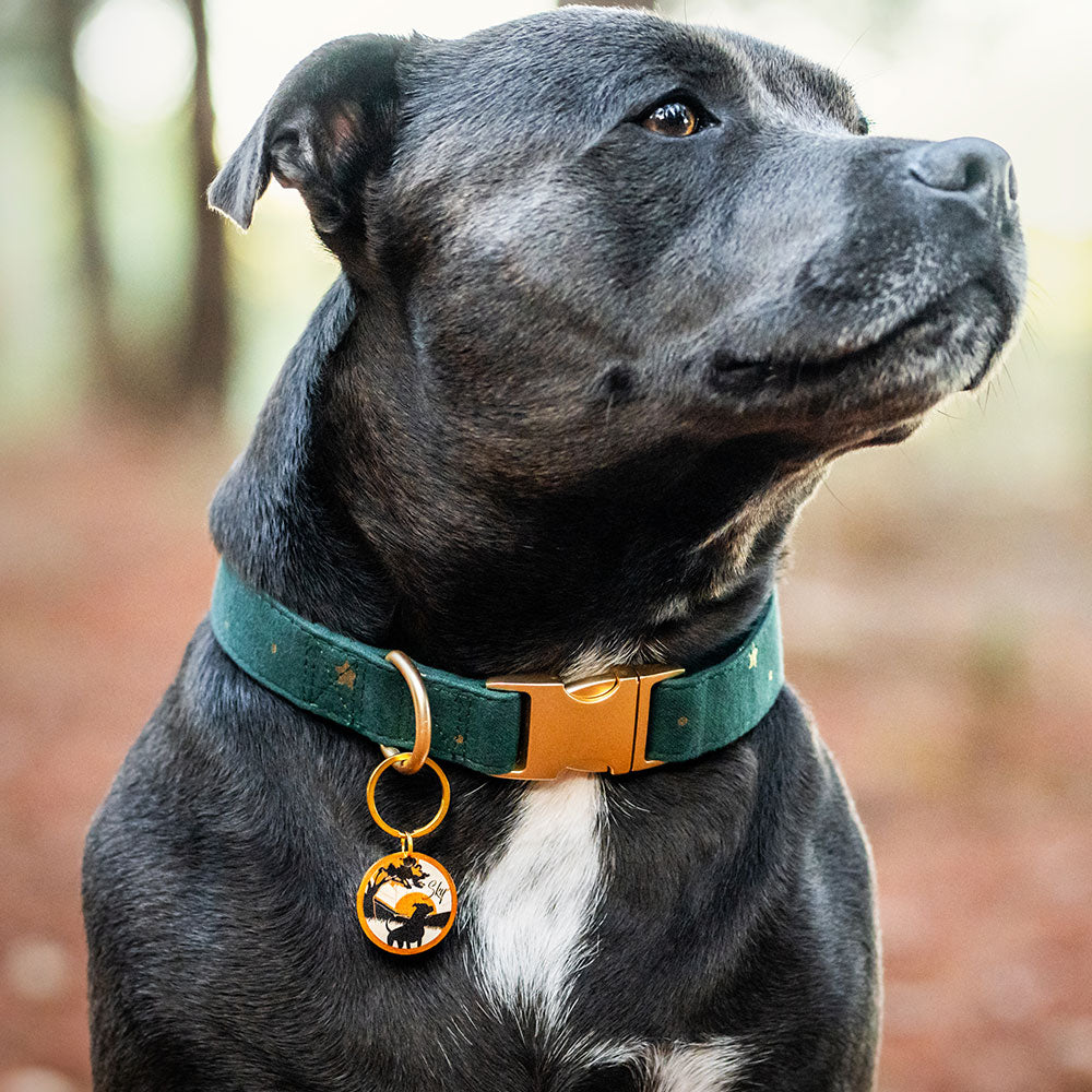 Médaille personnalisée Coucher Soleil du Parc