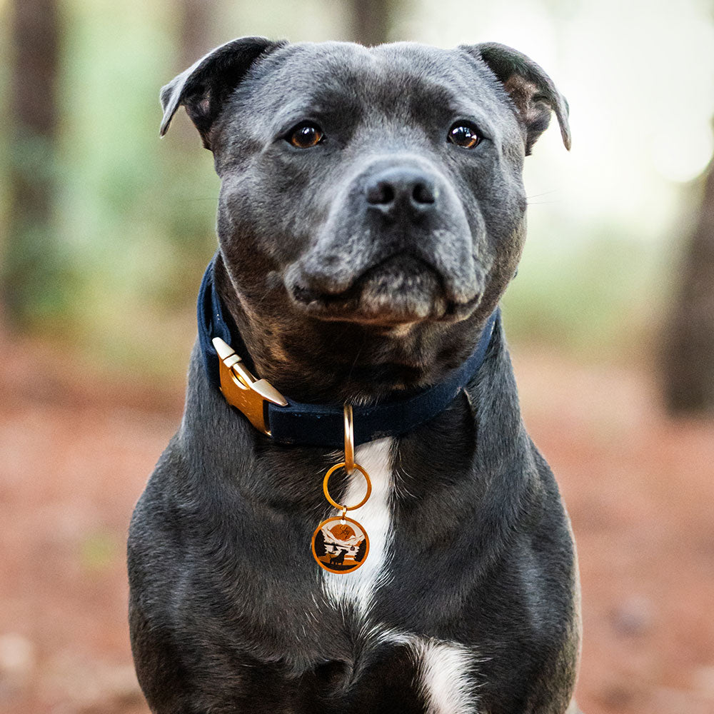 Médaille personnalisée Coucher de Soleil des Rives